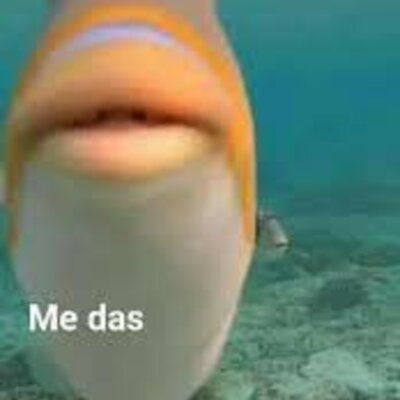 Timeline: historia del internet