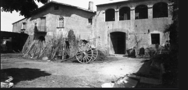 Neixement avi matern ( Agusti)