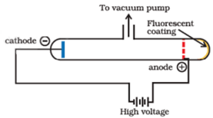 discovery of the protons