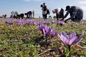 Job opportunities for refugees.