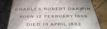 Darwin's Death