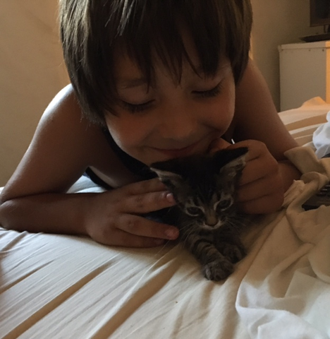 Va arribar la meva gateta.(La vam adoptar).