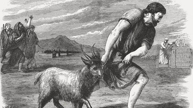 Laws for Sacrifices and Offerings