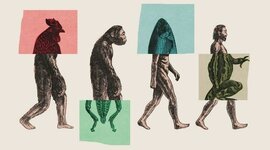 Timeline: LA EVOLUCIÓN DE LOS SERES VIVOS