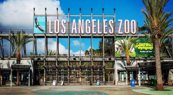 Fui al zoologico primera ves