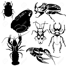 LOS ANIMALES TERRESTRES