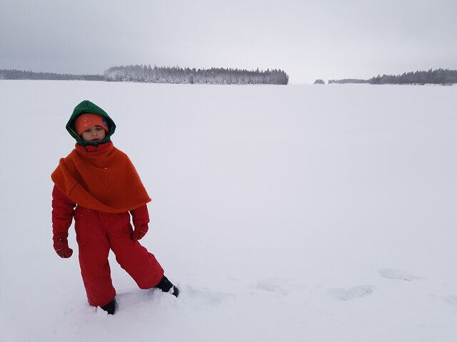 2016 arivo a primaria,lapolonia