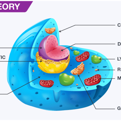 Timeline: History of the Cell Theory