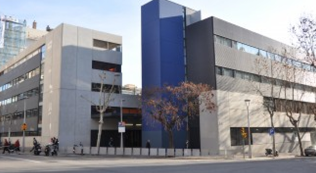 2016-vaig anar a primaria