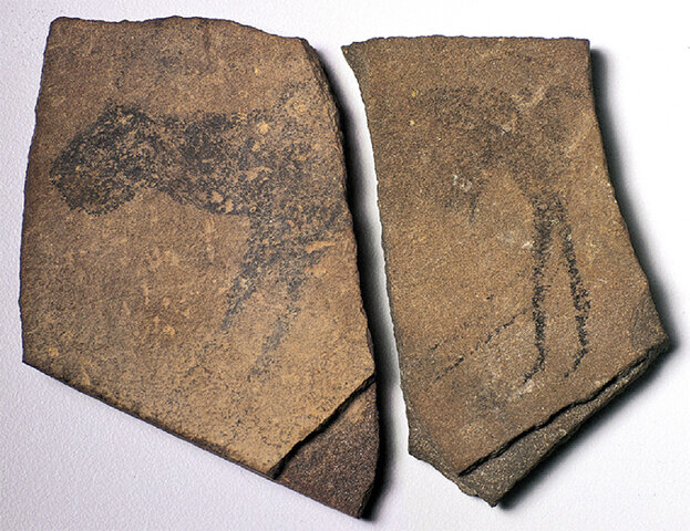 Apollo 11 Stones