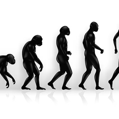 Timeline: Teorías evolutivas