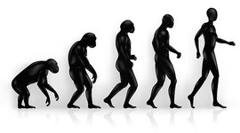 Timeline: Teorías evolutivas