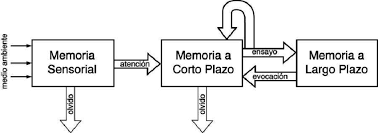 Modelos de la teoría del procesamiento de la información