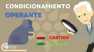Programas del condicionamiento operante