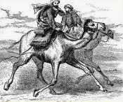 Mahoma Mekara Itzuli