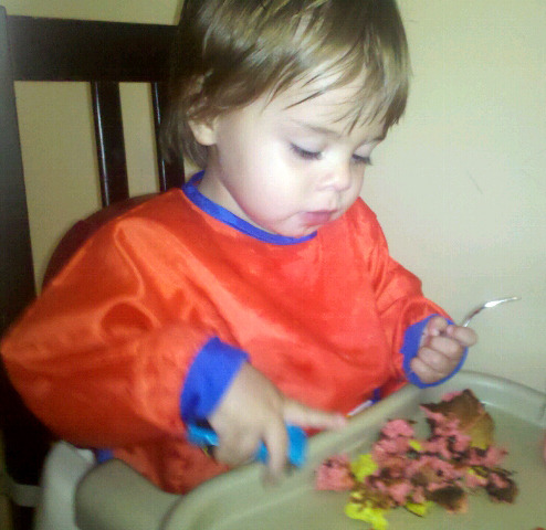 22-24 months cognitive