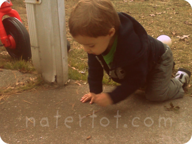 Infant: 24-30 months