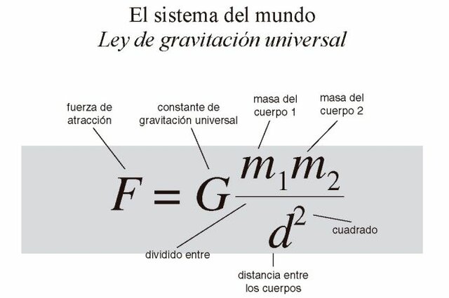 Establece las leyes fundamentales sobre la física