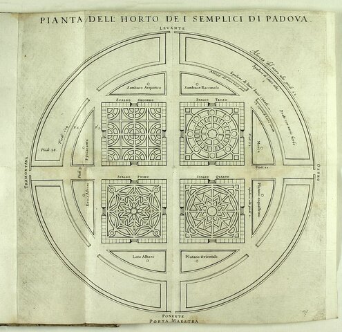 Orto botanico di Padova (1545)