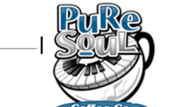 Timeline: Pure Soul Promotional plan - Elsa Donahoe