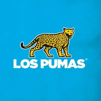 Timeline: Los Pumas