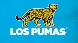 Timeline: Los Pumas