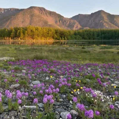 Timeline: История Прибайкалья