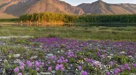 Timeline: История Прибайкалья