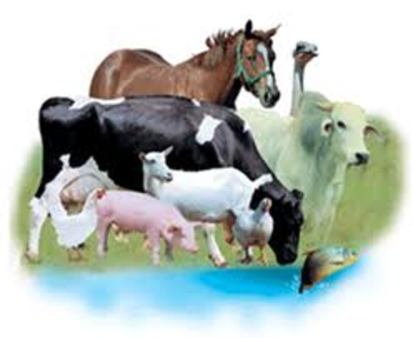 INICIO EL FP DE GRADO MEDIO