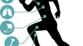 Timeline: Antecedentes Históricos de la actividad física