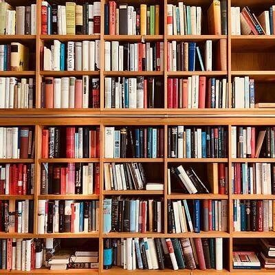 Curiosidades e dicas de leitura