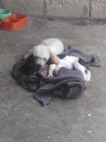 No hay hogar como tu hogar, ahí perteneces tú...