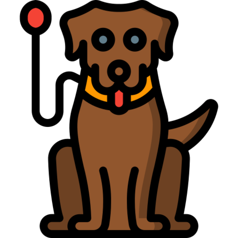 Inicio del condicionamiento clásico