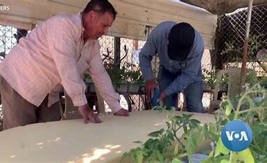 What kind of entrepreneurship could evolve?