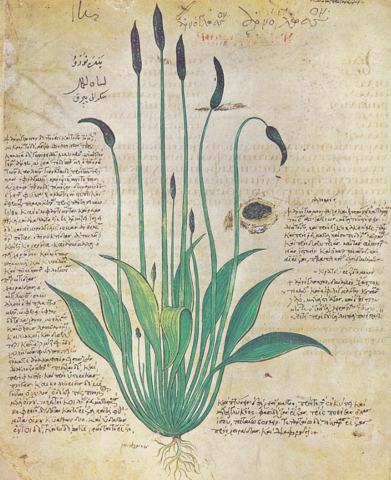 A Medieval Tradition