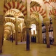 Great mosque of cordoba