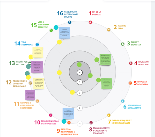 Rueda del Impacto Social