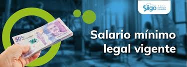 Decreto 1724 de 2021