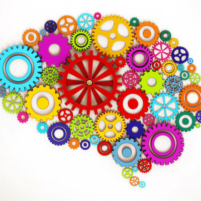 Timeline: Paradigmas en la Psicologia del Aprendizaje