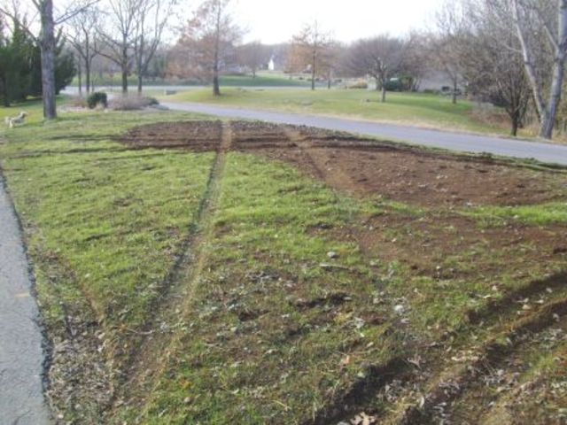 Vandals Strike Again