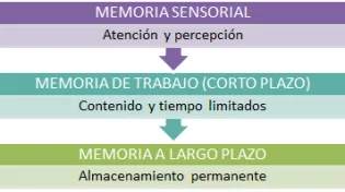 La teoría del procesamiento de la información