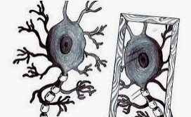 Giacomo Rizzolatti, Corrado Sinigaglia: NEURONAS ESPEJO