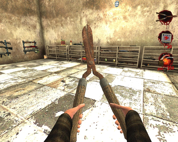 Первый видеоролик