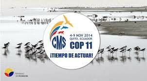 COP11 / CMP1, Montreal, Canadà