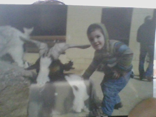 Gustos por la naturaleza