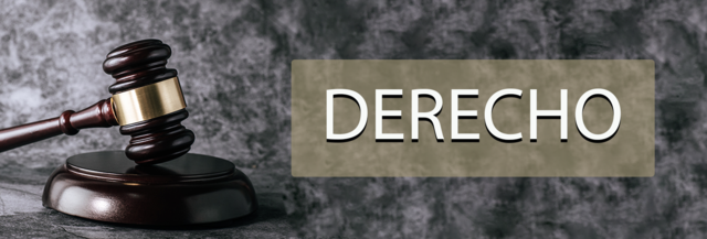 Creación de la Facultad de Derecho