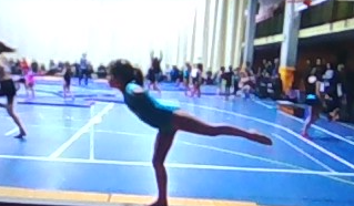Gimnastica
