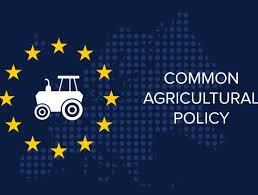 The Commun Agricultural Policy was introduced by the EEC.