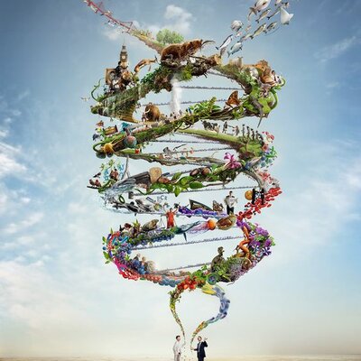 Timeline: Historia de la genética