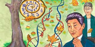 Teoría Neutralista de la evolución molecular